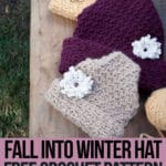fall into winter hat crochet pattern with text which reads fall into winter hat free crochet pattern available only at crochet.life