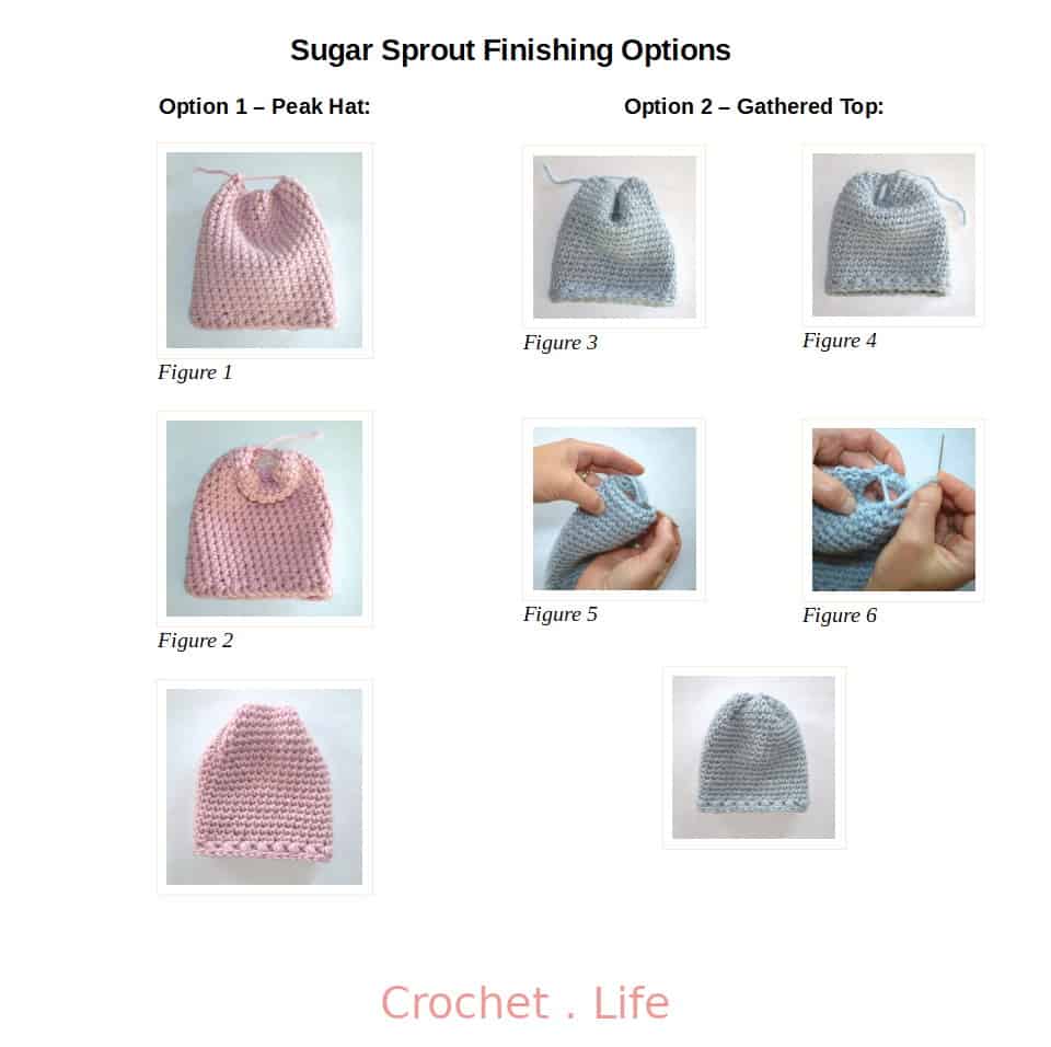 Sugar Sprout Finishing Options