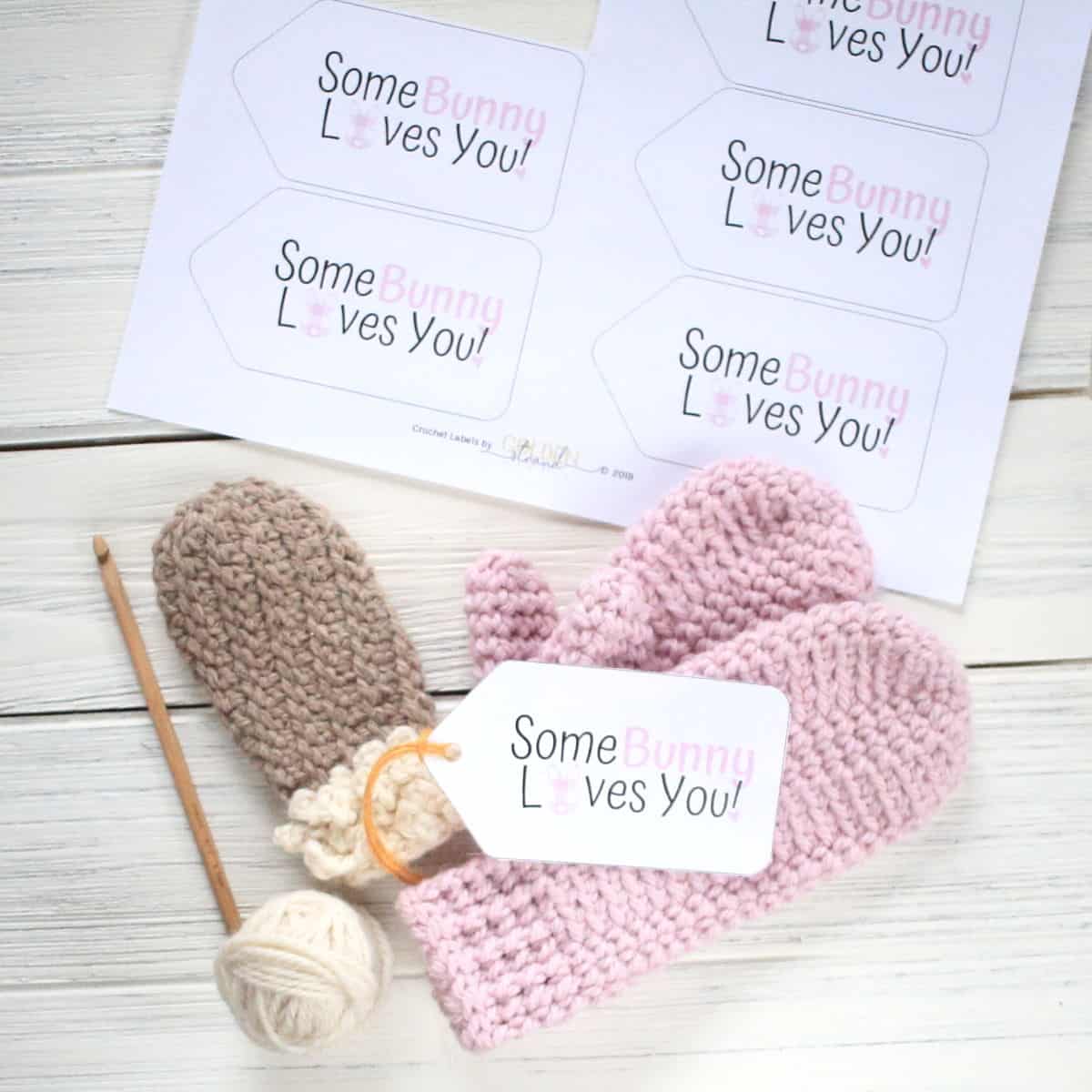 Gingham Bunny Gift Tags - Some Bunny Loves You