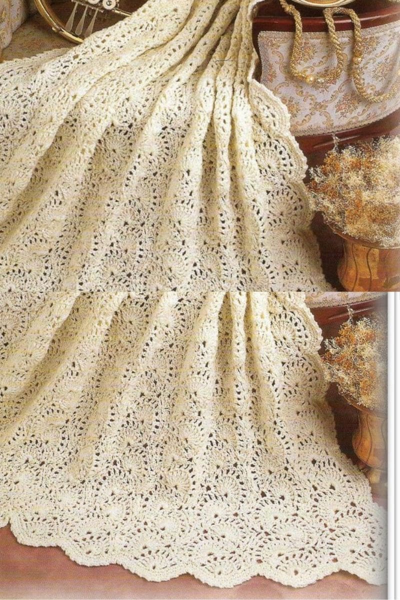 Ivory delicate shell pattern blanket