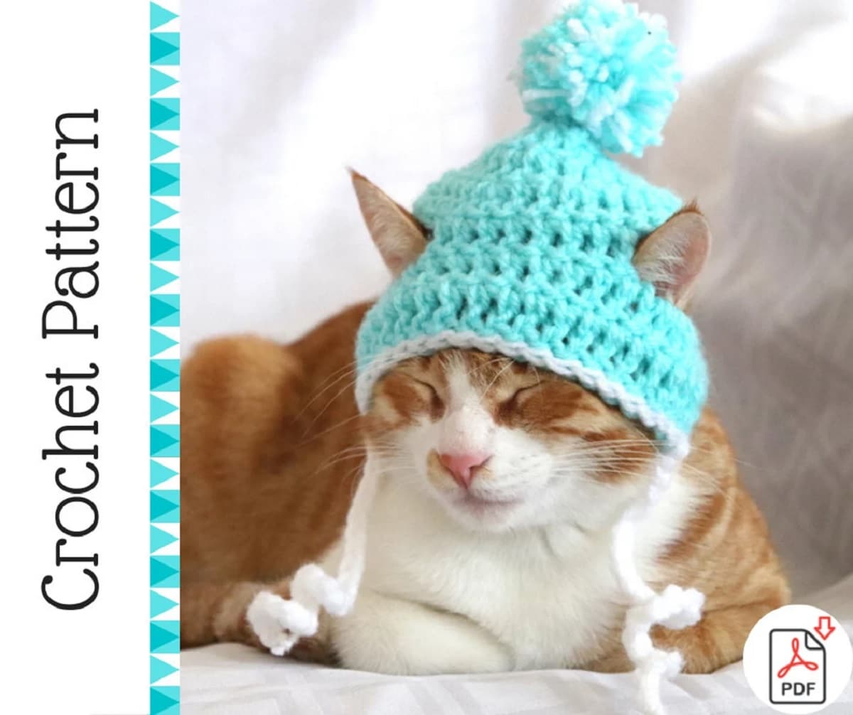 A ginger and white cat with its eyes closed wearing an aqua crochet beanie with a large bobble on top and white braids either side of its ears.
