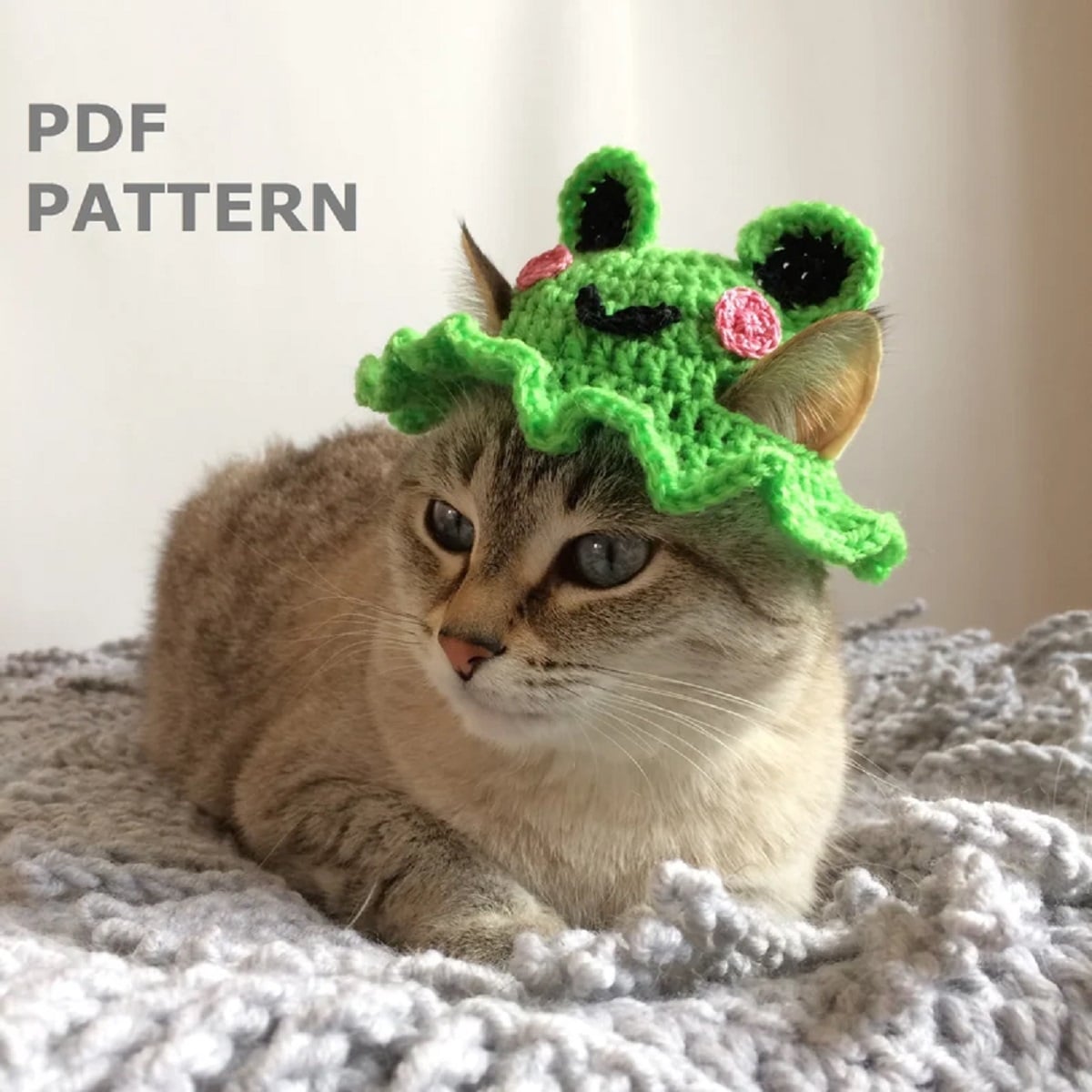 Gray cat sitting on a blanket wearing a small green crochet hat with a frog’s face and ears on top.