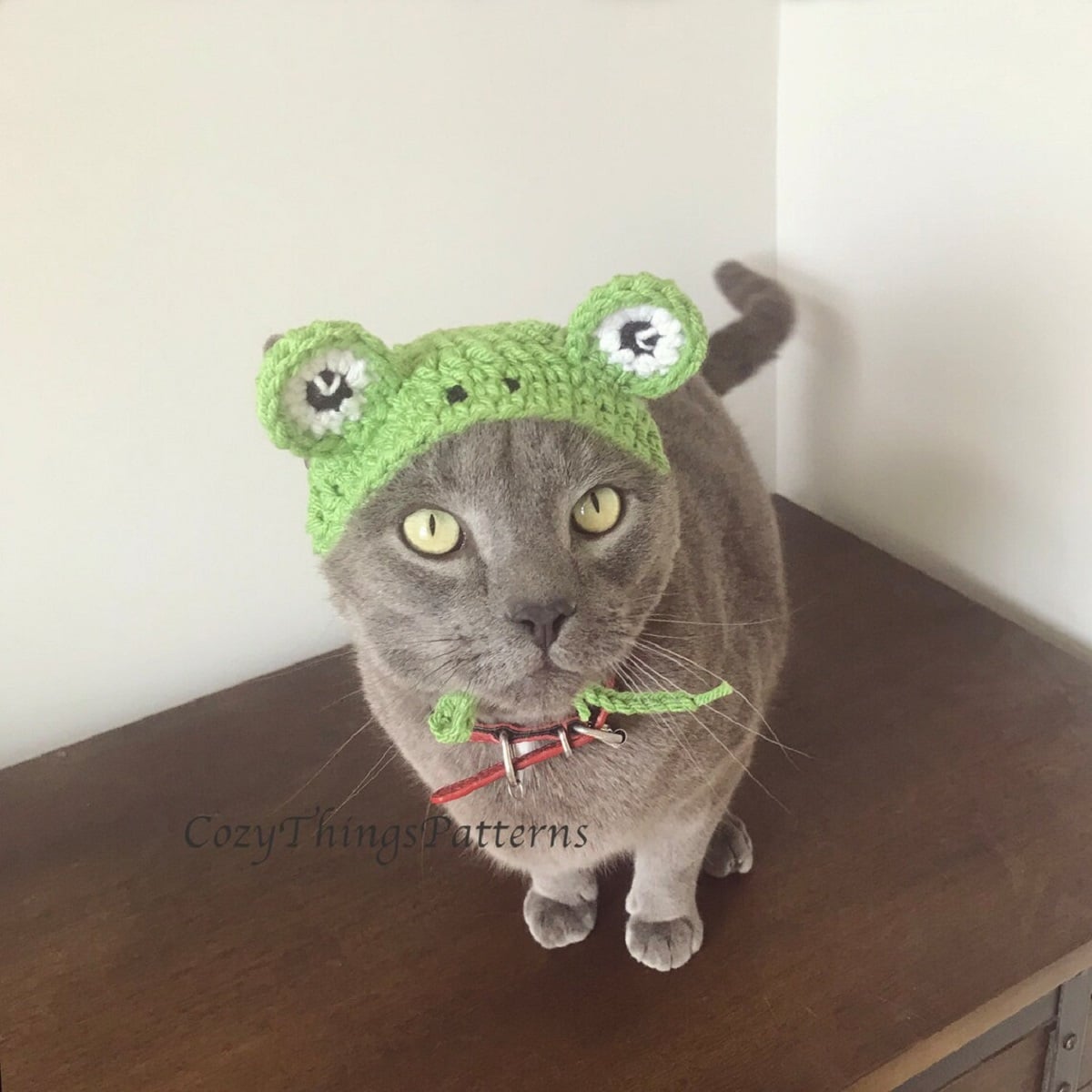 A gray cat sitting on a table wearing a green crochet hat with frog eyes over its ears and green string around its neck to secure it.