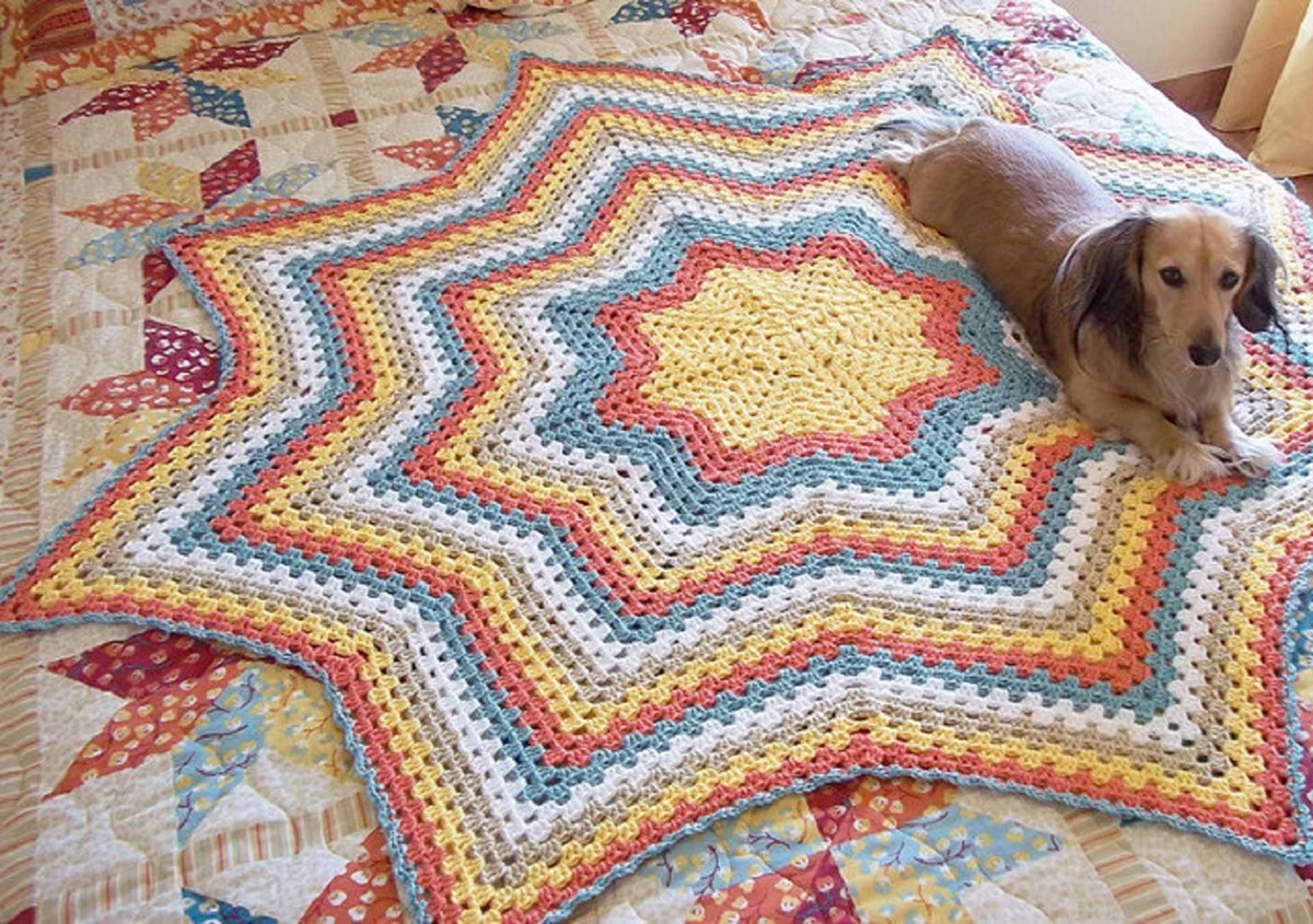 Large Dachshund lying on a star shaped crochet rug using red, yellow, blue, and white zig-zag stripes and a yellow star in the center.