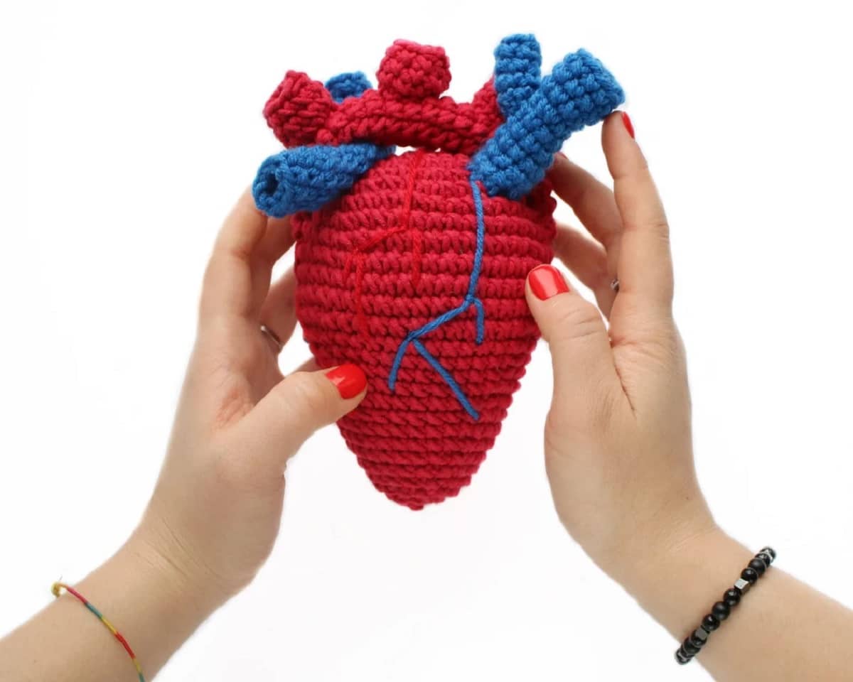 Red and blue crochet anatomical human heart with arteries branching off and blue veins held by two hands on a white background.