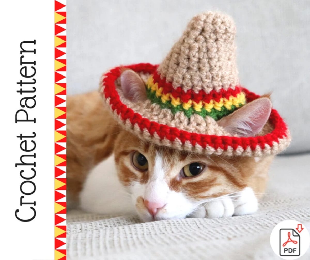 A ginger and white cat sitting on a couch wearing a mini brown crochet sombrero with red, yellow, and green stripes at the bottom.
