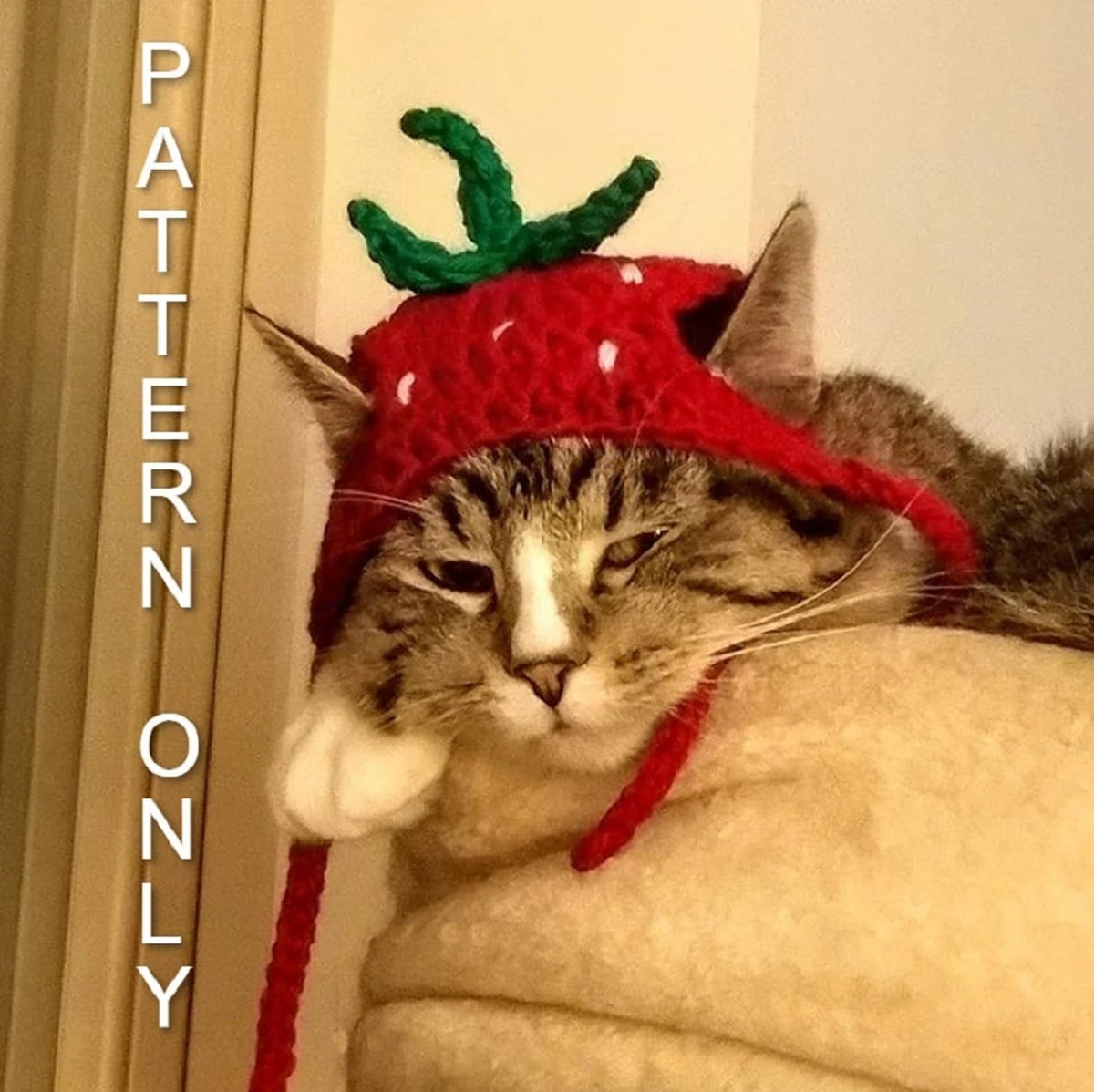 A large tabby cat lying down wearing a crochet strawberry style hat with holes for its ears and a green stem on top.