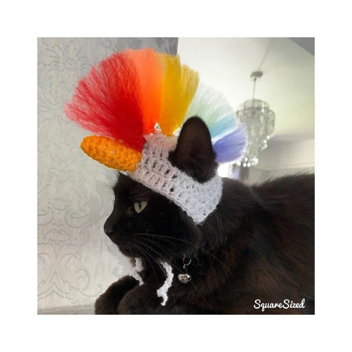 A black cat facing sideways wearing a white crochet hat with an orange horn and a multicolored mohawk on top