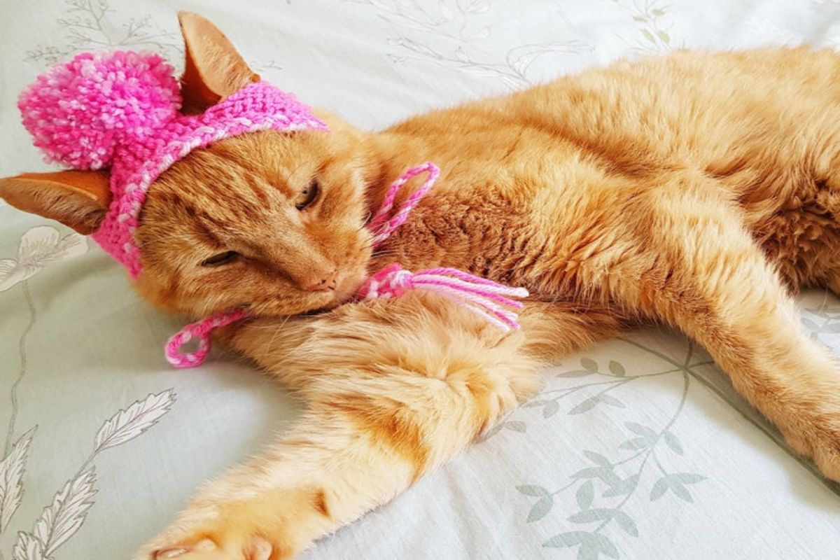A ginger cat lying on a bed wearing a pink crochet hat with a large pink bobble and top and string around its neck to secure the hat.