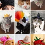 photo collage of crochet cat hat patterns