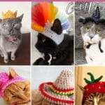 photo collage of patterns for crochet cat hats with text which reads the best cat hat crochet patterns