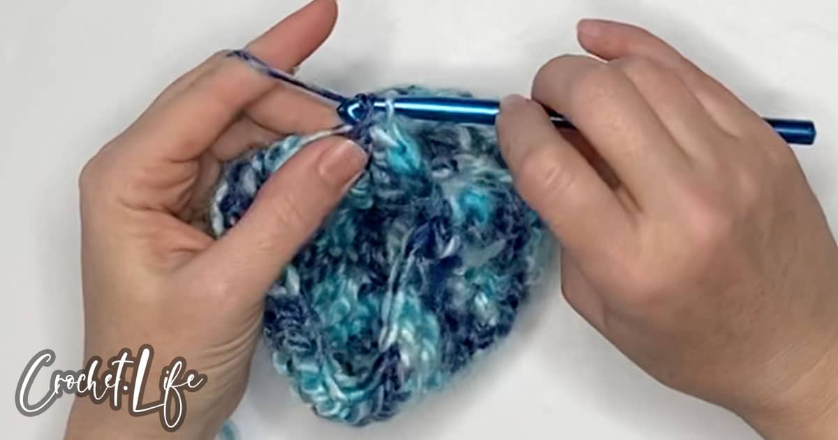 how to crochet a pint cozy