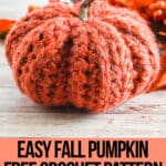 crocheted pumpkin with a stick stem with text which reads easy fall pumpkin free crochet pattern