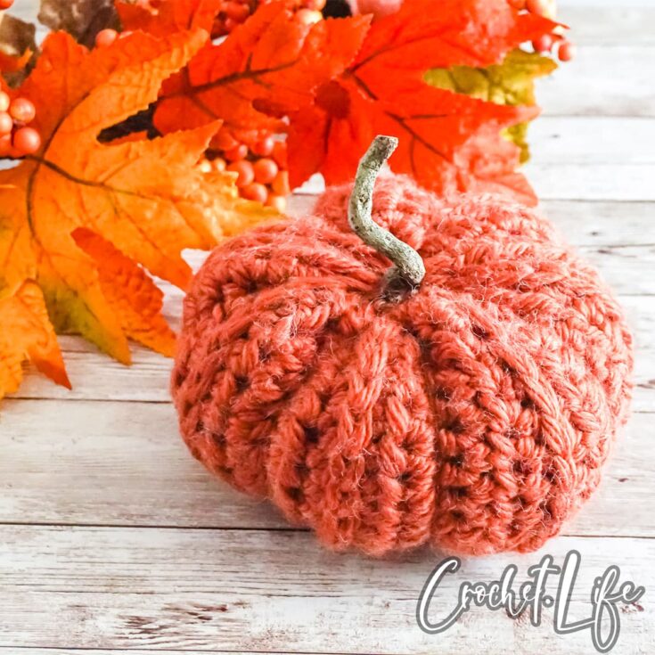 diy pumpkin crochet decor pattern